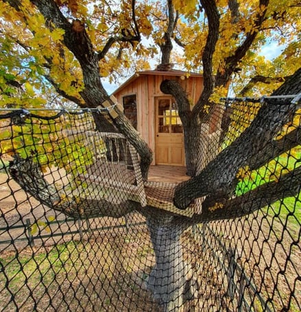 Cabane dans un arbres avec un filet suspendu