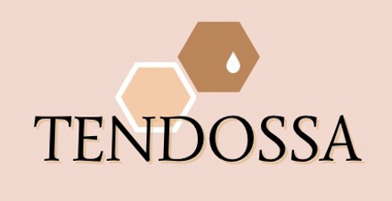 TENDOSSA logo