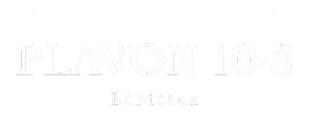 PLAVON 103 logo