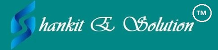 Shankit E Solution logo