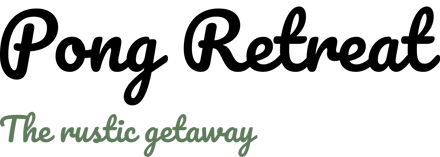Pong Retreat logo