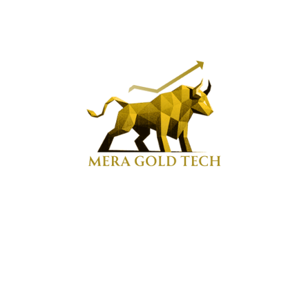 Mera Gold Tech logo