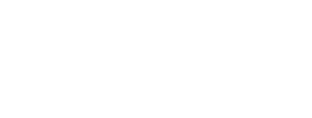 Leverage Digital logo