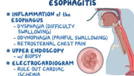 esophagitis