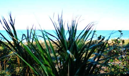 bean-point-secluded-beach-on-anna-maria-island
