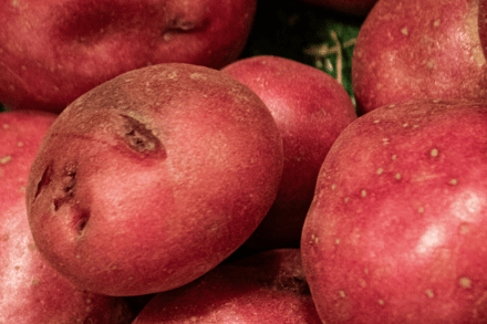 bunch of red potatoes