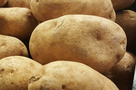 russett potatoes in a shelf