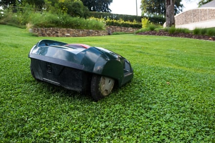 robot tondeuse dans un jardin