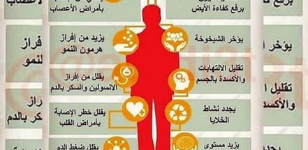 من فوائده تاخير الشيخوخة فوائد الصيام