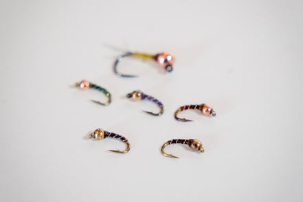 Zebra midges for the Watauga River