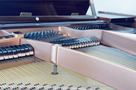 A photo of the hammers and strings on the inside of a grand piano.