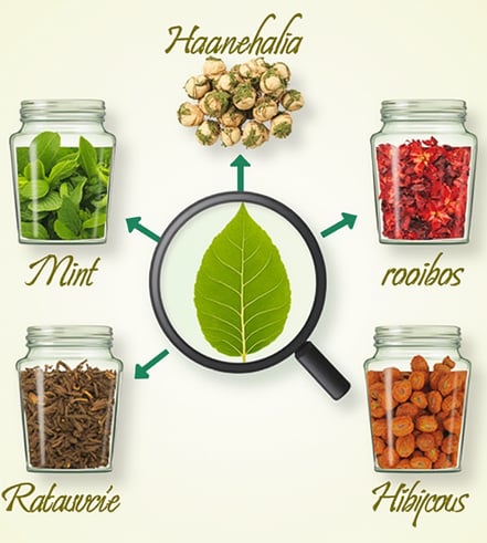 a magnifying image of a magnifying glass jar with a magni