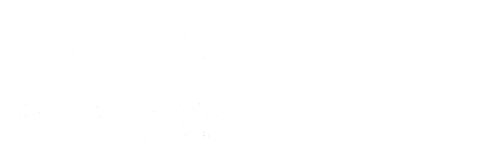 White Bull Protein logo