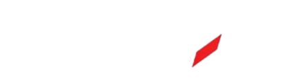 Silver Shield Trading and Services logo