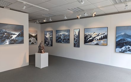 Exposition vincent ganaye à la galerie Cepagrap de Saint-Dié