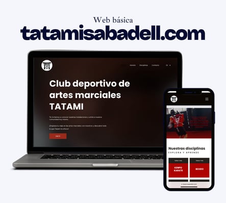 web basica sabadell
