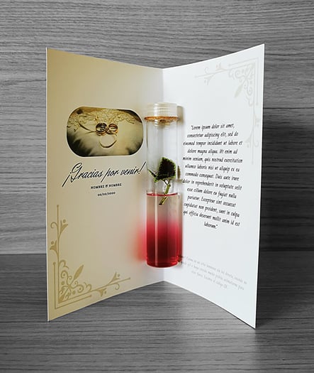 Tubo de ensayo con planta micropropagada sujetada con cartulina personalizada tipo muestra perfume