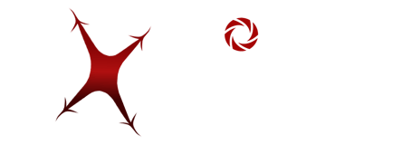 Drone Experience logo