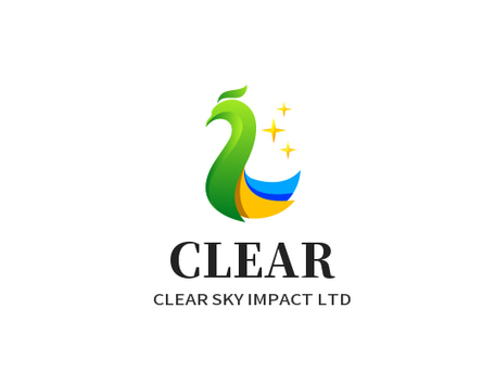 clearskyimpact.shop logo