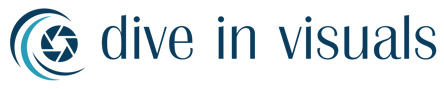 Dive in Visuals logo