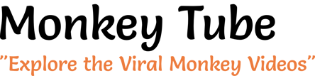 Monkey Tube logo