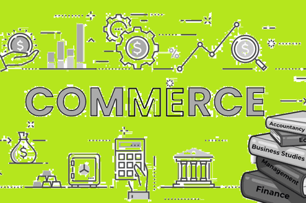 Top HSC Commerce Junior Colleges in Mumbai (2025)