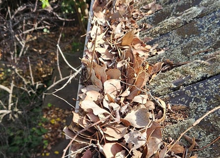 Gutter clearing, Basic roof maintenance, Landscaping, Lawn mowing, edging & all Gardening services