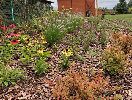 ogród bylinowy, projektowanie ogrodów naturalnych, architektura krajobrazu