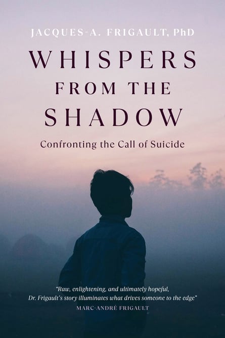 book cover with a person looking to the distance at dusk