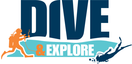 Dive & Explore Center: DiveX logo