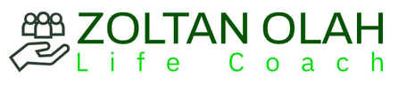 Paul Costea - Life Coach si Terapeut logo