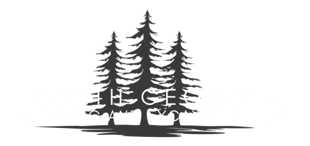 Land Clearing & Excavation | North Georgia Clearing And Excavation LLC