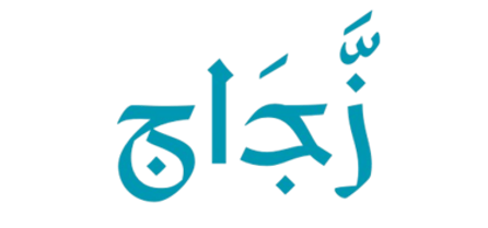 Zjjaj logo