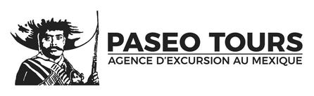 Paseo Tours logo