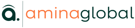 Amina Global logo