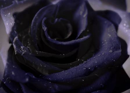 closing ritual offering to black moon lilith