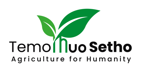 TEMO THUO SETHO (AGRICULTURE FOR HUMANITY) logo