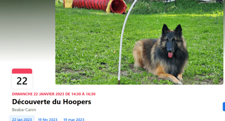 Evenement ; découverte de l'activité Hooper chez Beaba-canin