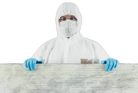 mold removal louisville ky