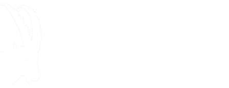 valimages.ch logo