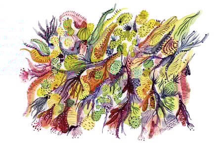 Peinture surréaliste coloré style alqguesmarine