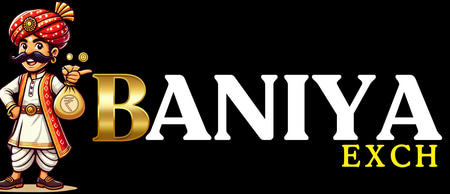Baniya Exch logo