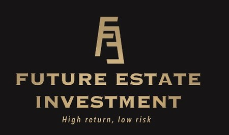 Future Estate Investment logo