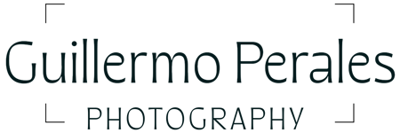 Guillermo Perales Photo logo