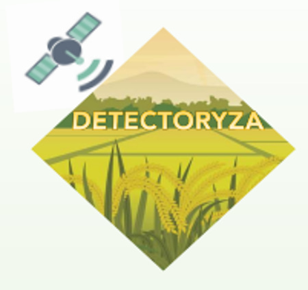 Detectoryza logo