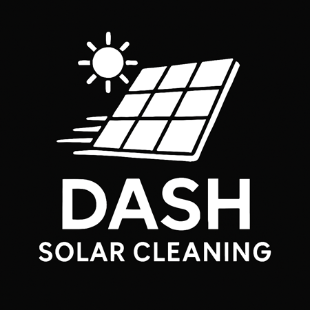Dash Solar Cleaning logo