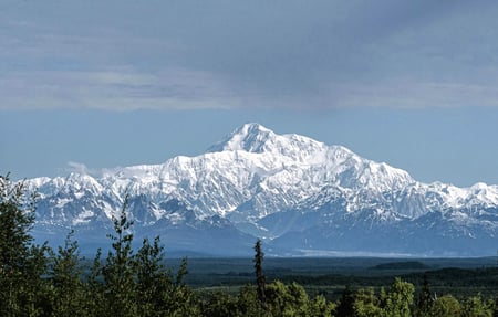 Anchorage, AK - Mt Denali has snow on the peaks all year long