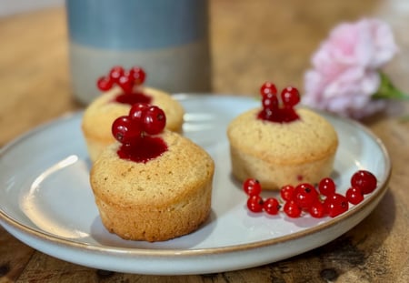 Financiers Groseille