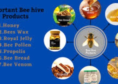 Bee-Derived Products