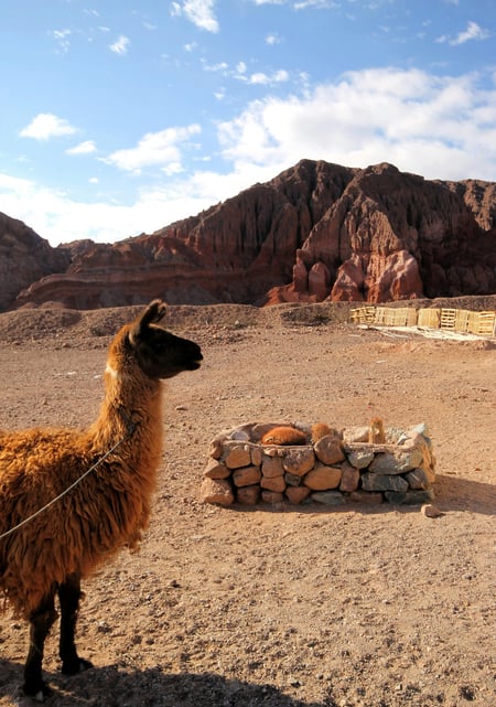 Cafayate